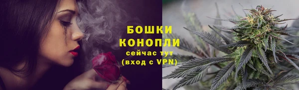 кокс Магас