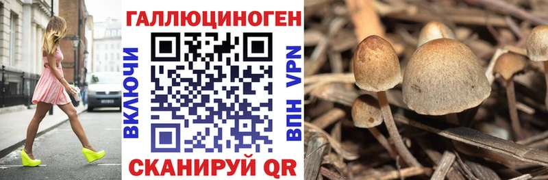 Галлюциногенные грибы GOLDEN TEACHER  закладки  ОМГ ОМГ маркетплейс  Разумное 